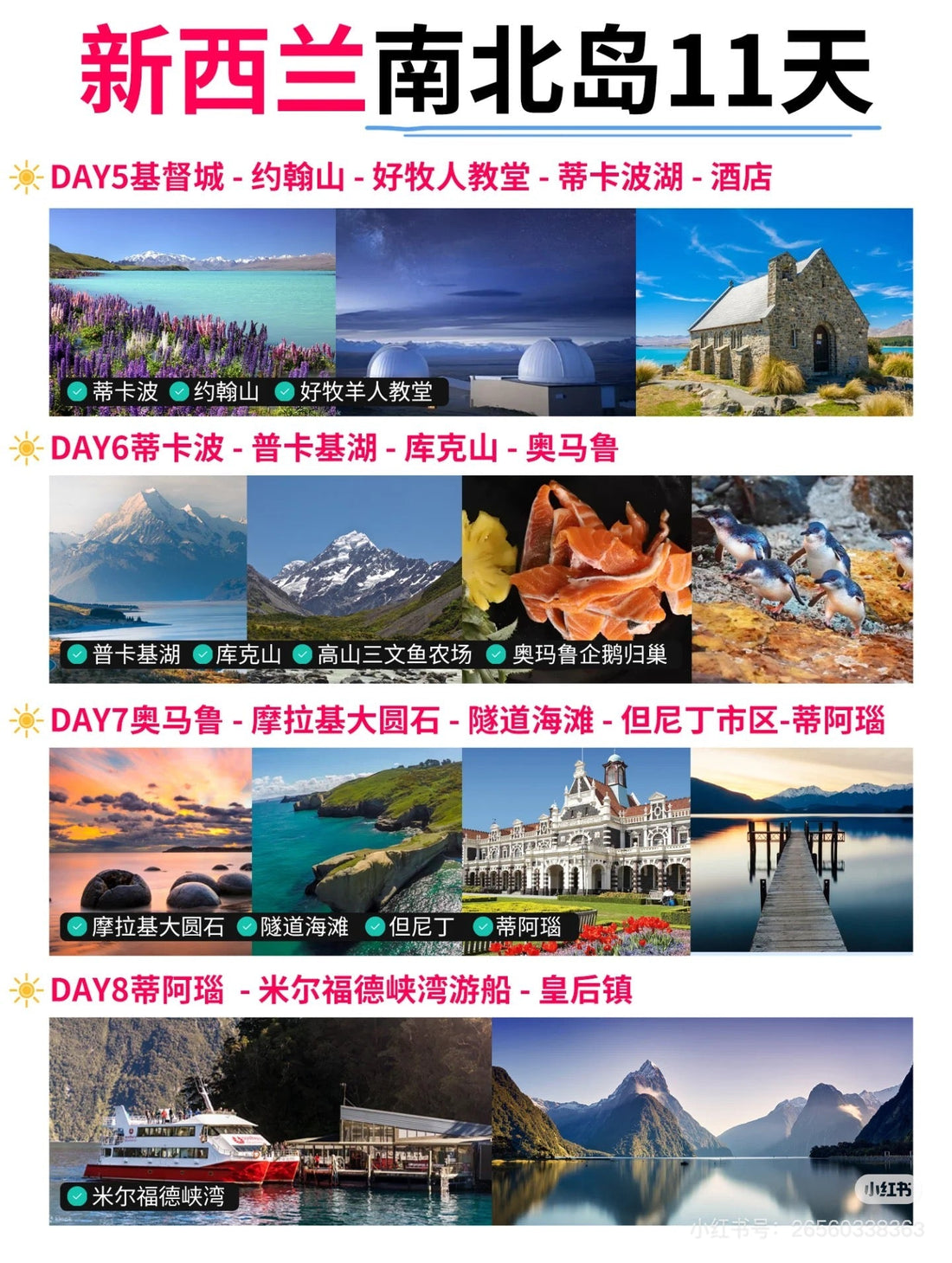 Exploring New Zealand: A Breathtaking 11-Day North & South Island Adventure